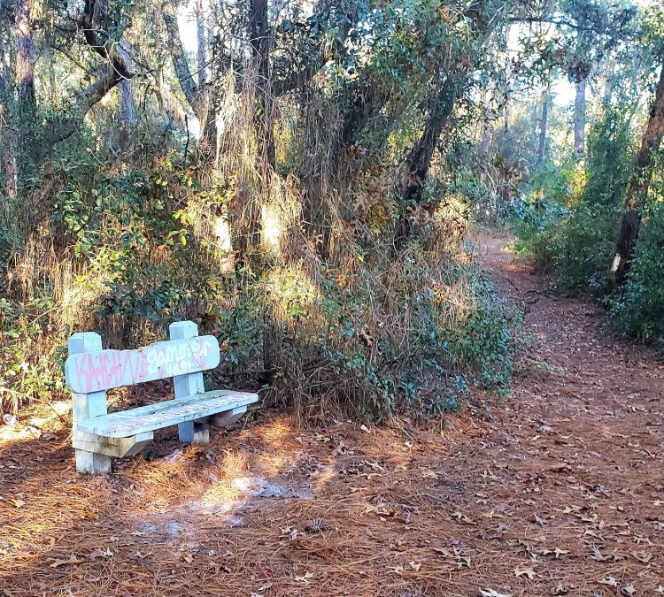 Amity Trails Park (Spring&nbspHill,&nbspFL)